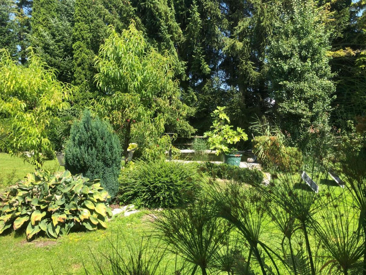 Ferienwohnung Design & Natur Fronreute 外观 照片